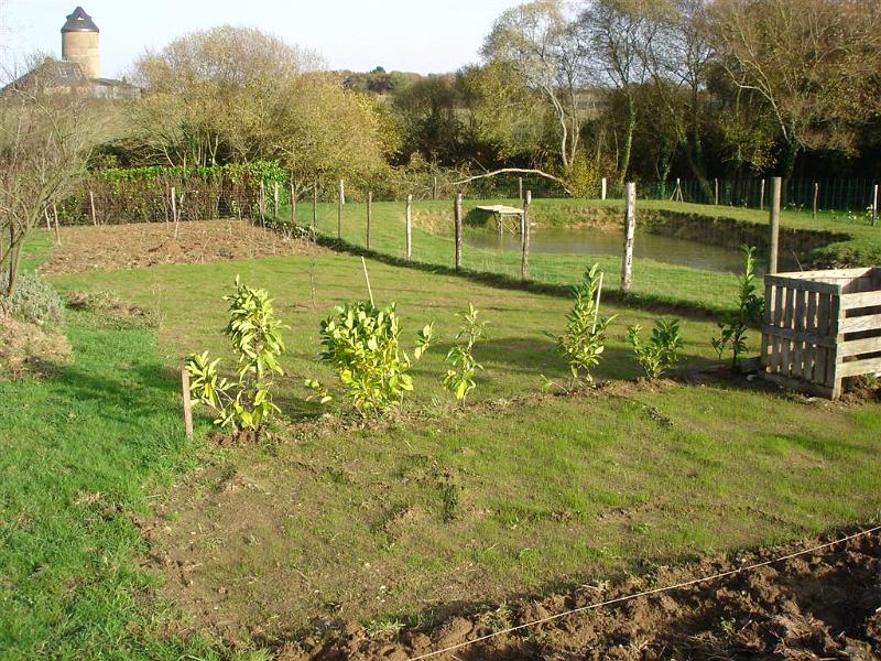 dautres plantations sur pelouse dans le verger